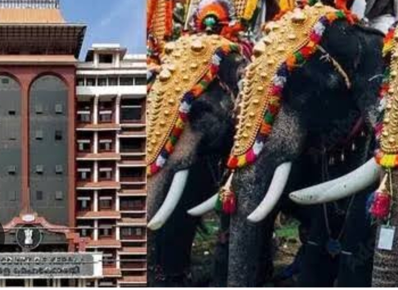 ആന ഇടഞ്ഞ് ആക്രമണം നടത്തിയാൽ ഉടമസ്ഥനും പാപ്പാൻമാർക്കും ഉത്തരവാദിത്വം,ഹൈക്കോടതി