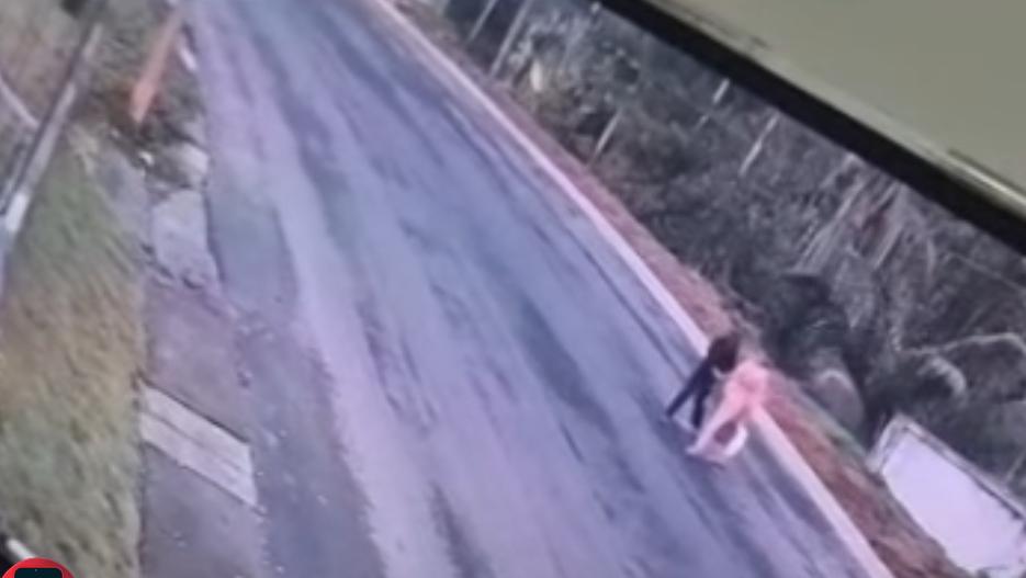 റോഡ് മുറിച്ചു കടക്കുന്നതിനിടെ വാഹനം ഇടിച്ച് അമ്മയ്ക്കും മകള്‍ക്കും പരിക്ക്