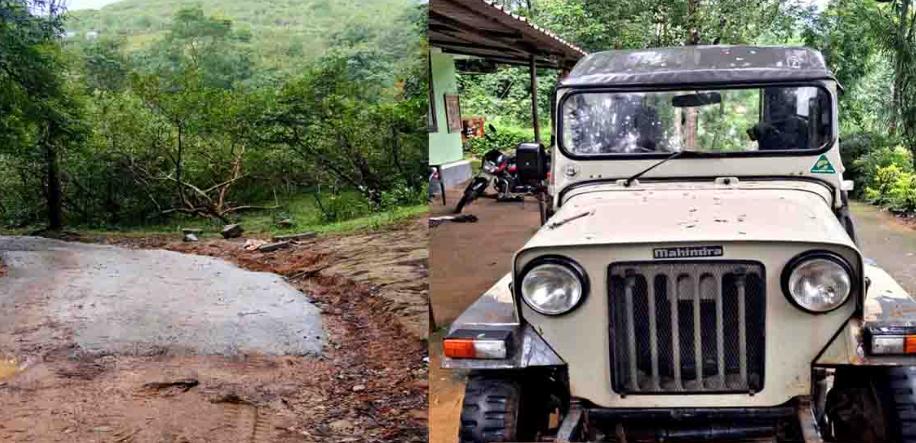 വനത്തിലൂടെ കടന്ന് പോകുന്ന റോഡ് കോൺക്രീറ്റ് ചെയ്തു; റിസോർട്ട് അധികൃതർക്കെതിരെ നടപടി