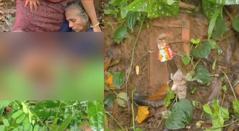 69കാരിക്ക് ഷോക്കേറ്റ  സംഭവം; മകൻ അറസ്റ്റിൽ