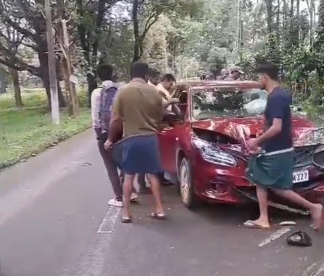 മാൻ കുറുകെ ചാടി കാർ അപകടത്തിൽപ്പെട്ടു