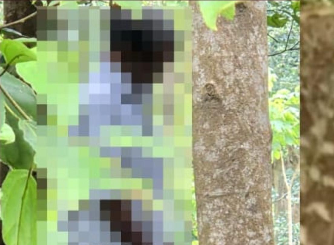 നിരവധി കേസുകളിലെ പ്രതി തൂങ്ങിമരിച്ച നിലയിൽ