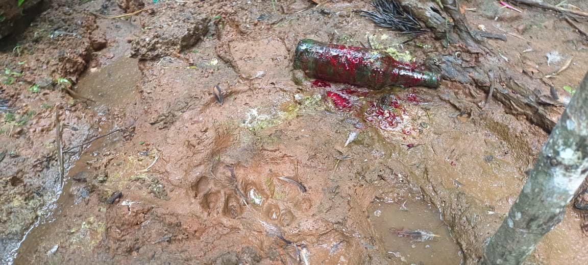 ജനവാസ മേഖലയിൽ വീണ്ടും പുലിയിറങ്ങി