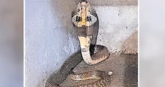 เดเดคเตเดค เดฎเตเตผเดเดจเต เดชเตเดฒเตเด เดตเดฟเดถเตเดตเดธเดฟเดเตเดเดฒเตเดฒเต, เดฎเตเดจเตเดจเต เดฎเดฃเดฟเดเตเดเตเตผ เดเดดเดฟเดเตเดเดพเดฒเตเด เดเดเดฟเดฏเตเตฝเดเตเดเตเดฎเตเดจเตเดจเต เดชเด เดจเด; เดตเตเดเตเดเดฟเดฎเดพเดฑเตเดฑเดฟเดฏ เดชเดพเดฎเตเดชเดฟเตปเดคเดฒเดฏเดฟเตฝ เดจเดฟเดจเตเดจเตเดตเดฐเต เดเดเดฟเดฏเตเดฑเตเดฑเต