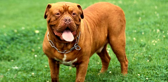 เดจเดพเดฏเตเดชเตเดชเดฒเตเดฒเดฟเตฝ เดฆเดพเดฐเตเดฃเดพเดจเตเดคเตเดฏเด; เดตเตเดเตเดเต เดตเดพเดคเดฟเดฒเดฟเตฝ เดตเดฟเดถเตเดฐเดฎเดฟเดเตเด เดเตเดนเดจเดพเดฅเดจเต เด
เดฏเตฝเดชเดเตเดเดคเตเดคเต เดตเดณเตผเดคเตเดคเตเดจเดพเดฏ เดเดเดฟเดเตเดเต เดเตเดจเตเดจเต