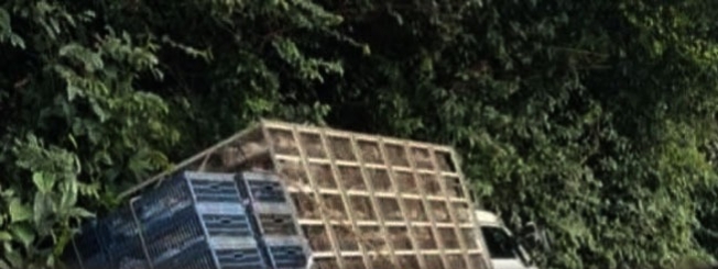 ചുരത്തിൽ ലോറി ഓവു ചാലിലേക്ക് മറഞ്ഞു