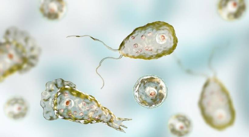 അമീബിക് മസ്തിഷ്ക ജ്വരം; പ്രതിരോധ പ്രവർത്തനങ്ങൾ ഊർജിതമാക്കി ആരോഗ്യ-തദ്ദേശ വകുപ്പുകൾ