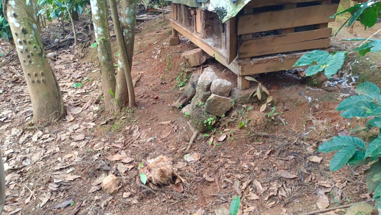 เดเตเดฐเดพเตฝ เดเตเดดเตเดตเดฃเดฏเดฟเตฝ เดตเดจเตเดฏเดฎเตเด เดเดเตเดฐเดฎเดฃเด