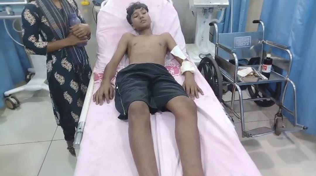 വന്യജീവിയുടെ ആക്രമണത്തിൽ വിദ്യാർത്ഥിക്ക് പരിക്ക്