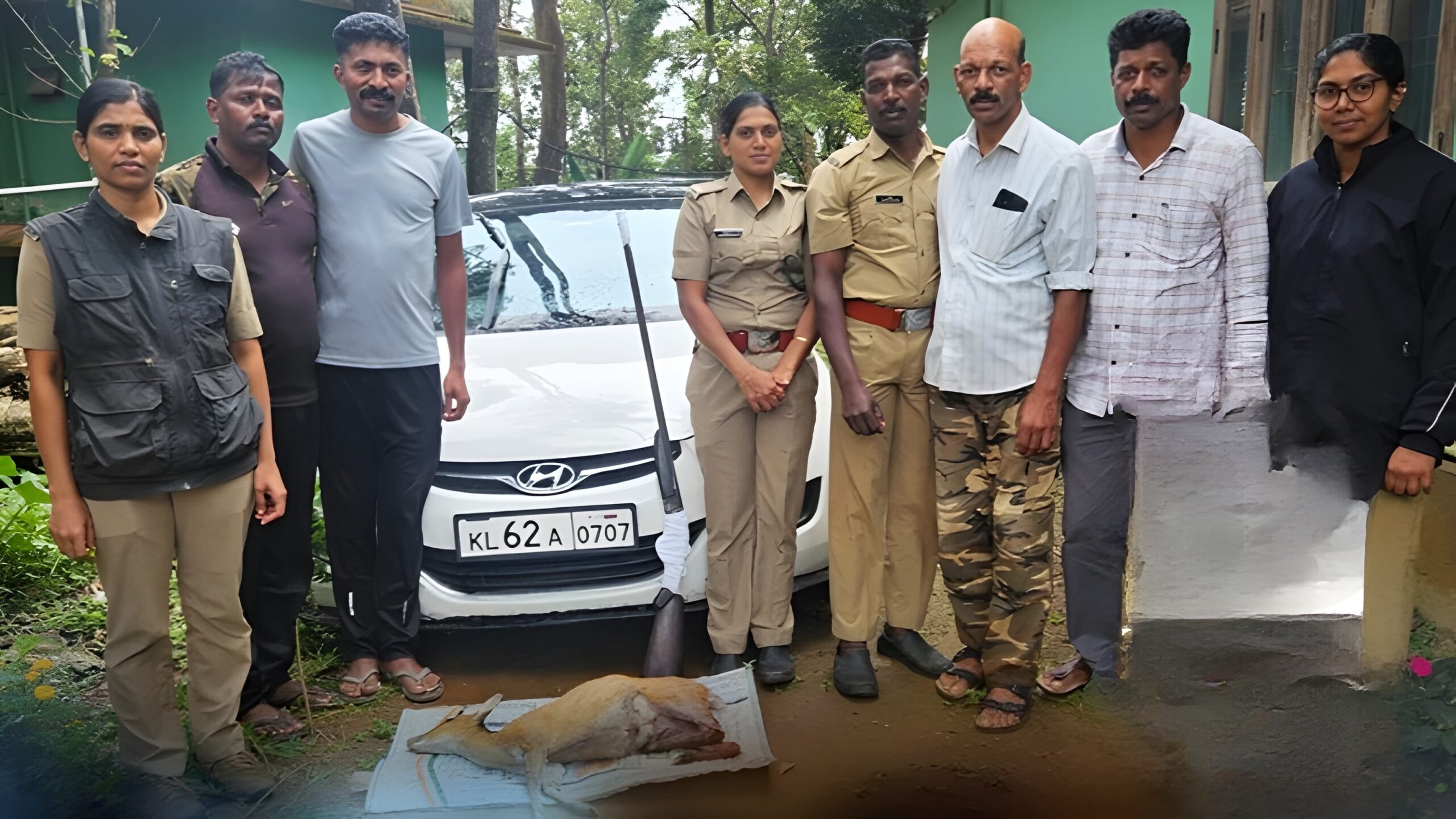 നാടൻ തോക്കും വെടിയുണ്ടകളും കേഴമാനിന്റെ ജഡവും കണ്ടെത്തി