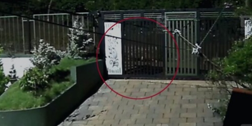 ചുണ്ടേലിൽ പുള്ളിപ്പുലി; വീടിനു മുന്നിലൂടെ പോകുന്ന സിസിടിവി ദൃശ്യം പുറത്ത്, ഭീതിയിൽ നാട്ടുകാർ