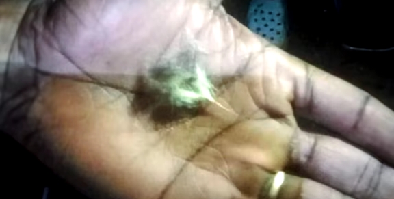 കടുവയും പുലിയും ഏറ്റുമുട്ടി; പുലിക്ക് സാരമായ പരുക്ക്, കടുവയുടെ പല്ലും നഖവും നിലത്ത്, സംഭവം വയനാട്ടിൽ