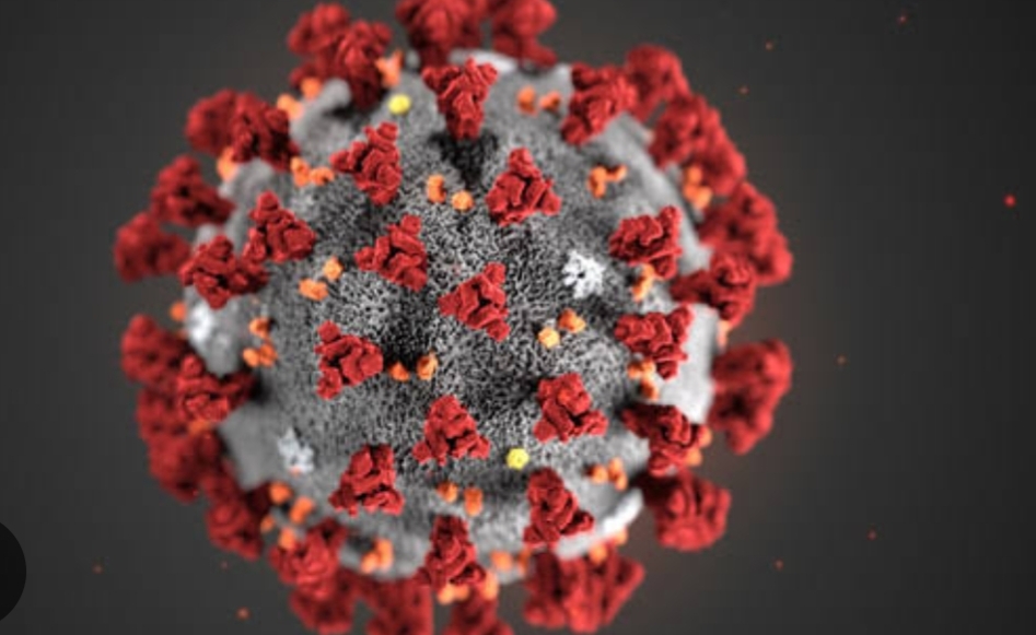 അമീബിക് മസ്തിഷ്കജ്വരം: മൂക്കിലൂടെ മാത്രമല്ല രോഗബാധ; ആരോഗ്യവിദഗ്ധർ ആശയക്കുഴപ്പത്തിൽ