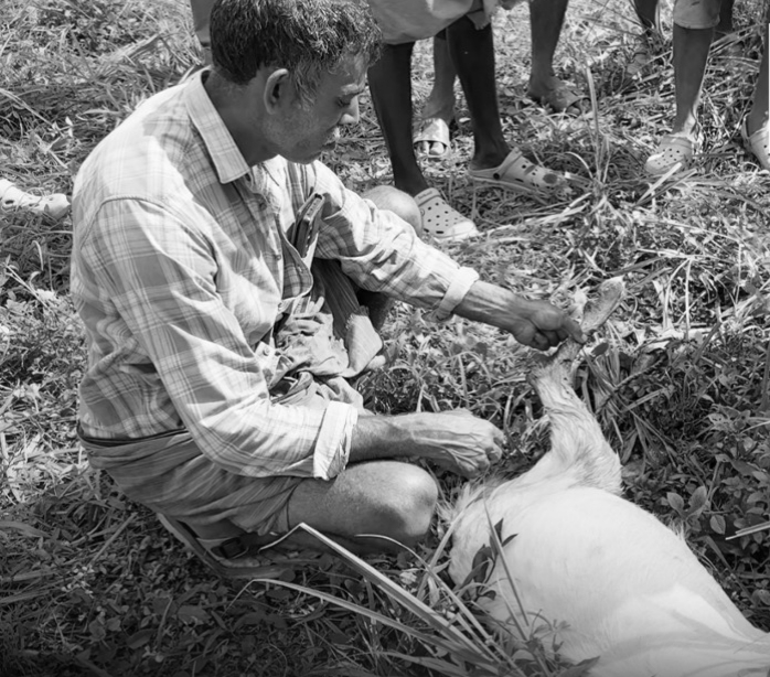 เดชเตเดฒเดฟ เดเดเดฟเดจเต เดเตเดจเตเดจเต เดคเดฟเดจเตเดจเต