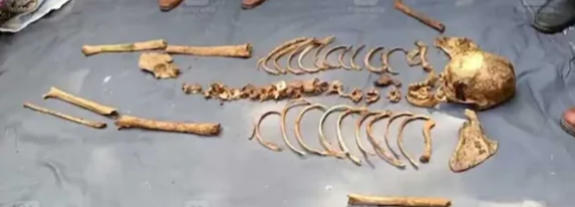 കാട്ടിലേക്ക് വീണ പന്ത് തിരയുന്നതിനിടെ അസ്ഥികളും തലയോട്ടികളും; സംഭവം കോട്ടയത്തെ സ്കൂൾ ഗ്രൗണ്ടിൽ