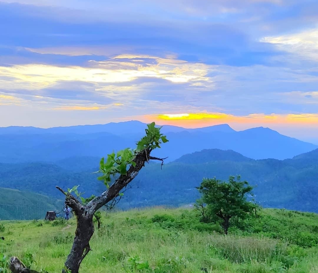 വയനാടിന്റെ വാഗമൺ ഇനി ഹരിത ടൂറിസം കേന്ദ്രം; സഞ്ചാരികളുടെ മനം കവർന്ന് മുനീശ്വരൻകുന്ന്
