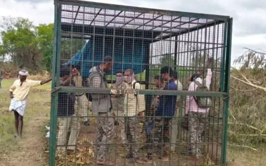 ‘നീയൊക്കെ കടുവയെ പിടിച്ചിട്ട് പോയാമതി’; കടുവയ്ക്കുവെച്ച കൂട്ടിൽ ഉദ്യോഗസ്ഥരെ പൂട്ടിയിട്ട് കർഷകർ