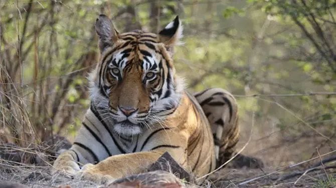 เดฌเตเดเตเดเต เดฏเดพเดคเตเดฐเดฟเดเตผเดเตเดเต เดจเตเดฐเต เดชเดพเดเตเดเดเตเดคเตเดคเต เดเดเตเดต