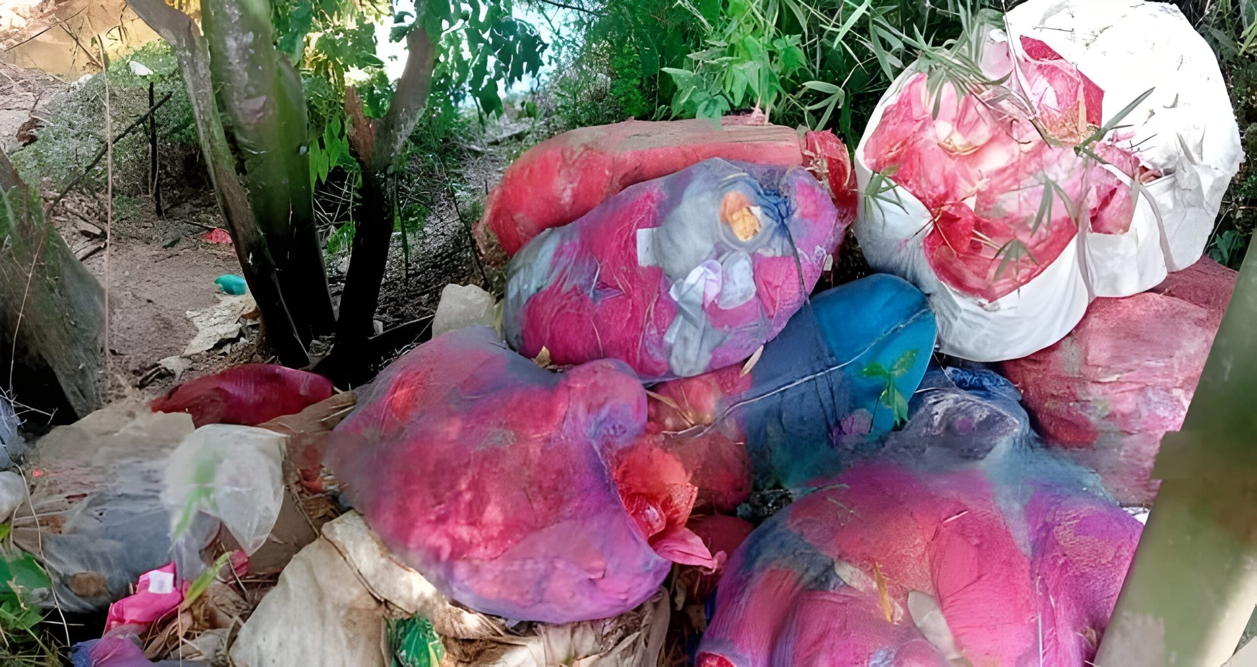 കല്ലൂർ പാലം മാലിന്യക്കൂമ്പാരമായി; ദുർഗന്ധം പേറി യാത്രക്കാർ