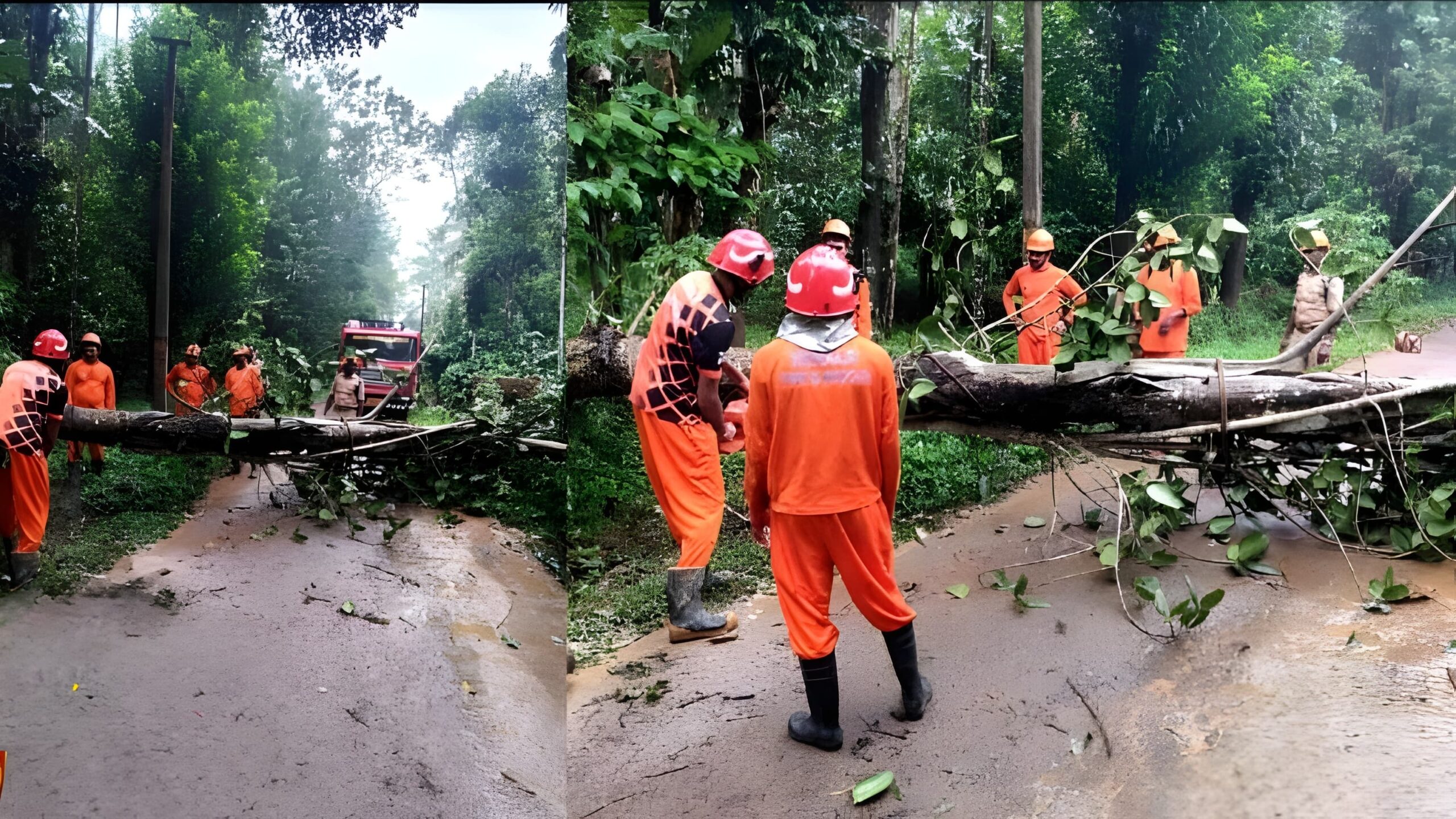 കാറ്റിലും മഴയിലും മരം കടപുഴകി വീണു