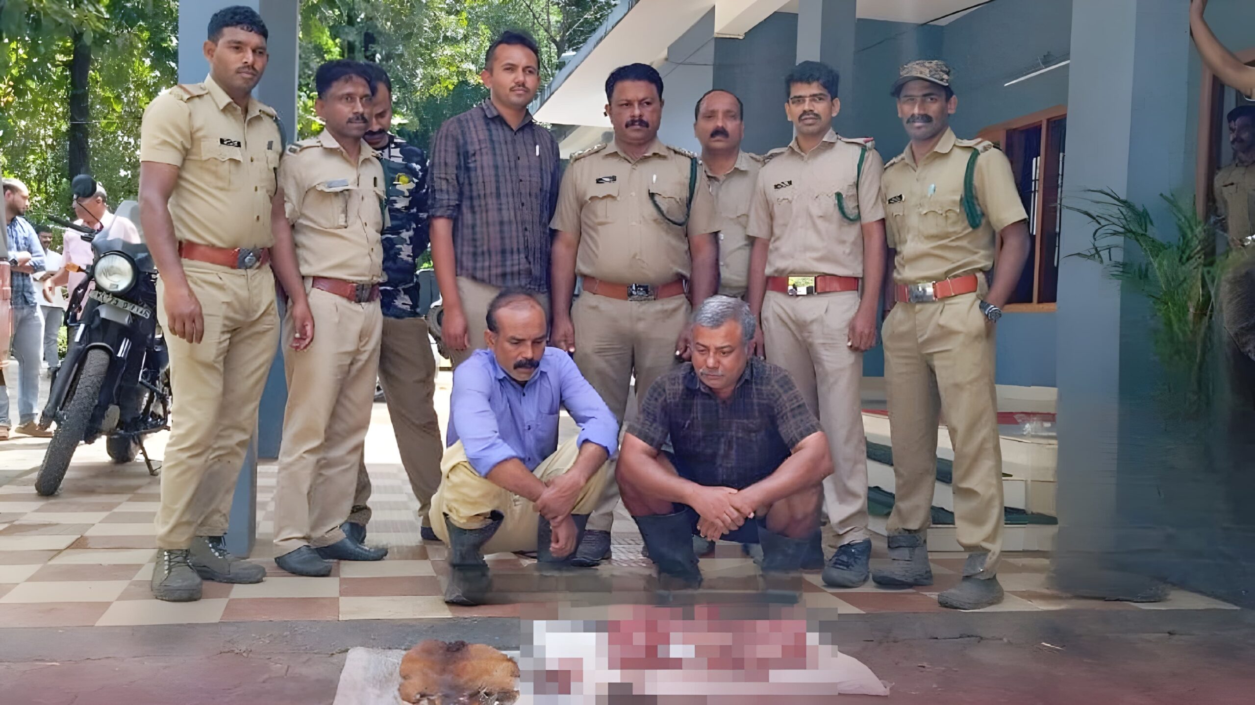 കേഴമാനിനെ വേട്ടയാടി; സഹോദരങ്ങൾ അറസ്റ്റിൽ