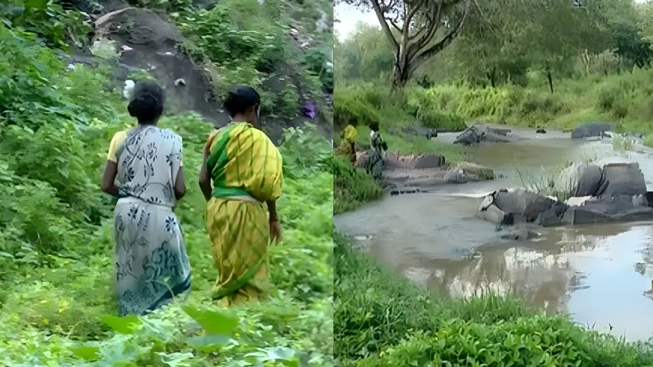 കക്കൂസില്ല, ആശ്രയം കടുവസങ്കേതം; വണ്ടിക്കടവ് ഉന്നതി ദുരിതത്തിൽ