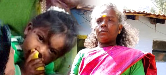 ജനൽ തകർത്ത് വീടിനുള്ളിലേക്ക് കാട്ടാന; 3 വയസ്സുകാരിക്കും മുത്തശ്ശിക്കും ദാരുണാന്ത്യം