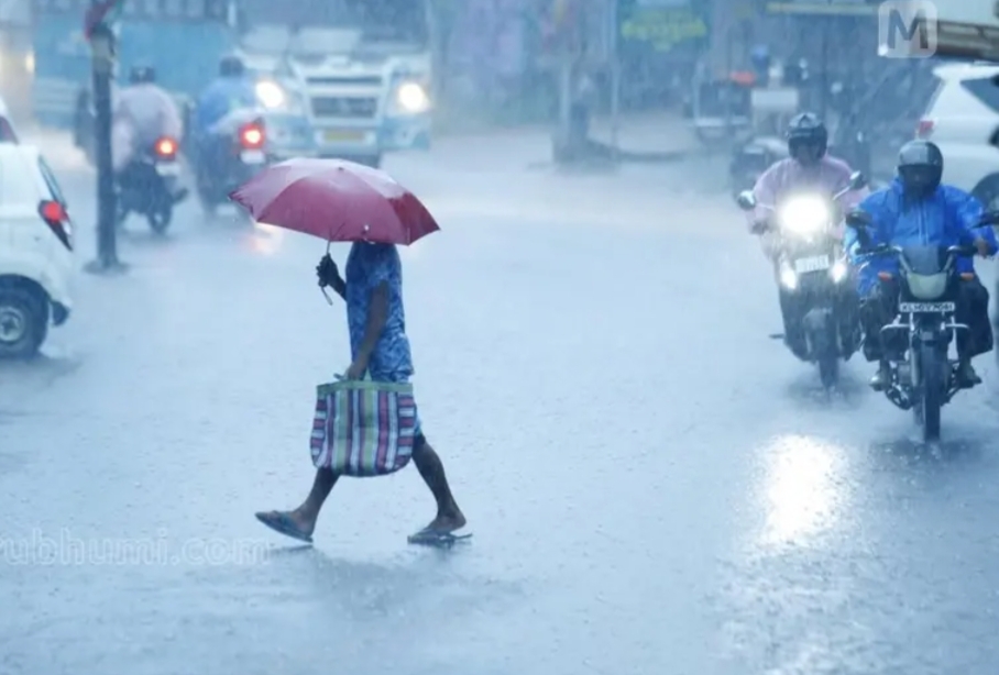 തുലാവർഷം കനക്കുന്നു; അടുത്ത ദിവസങ്ങളിൽ ശക്തമായ മഴ