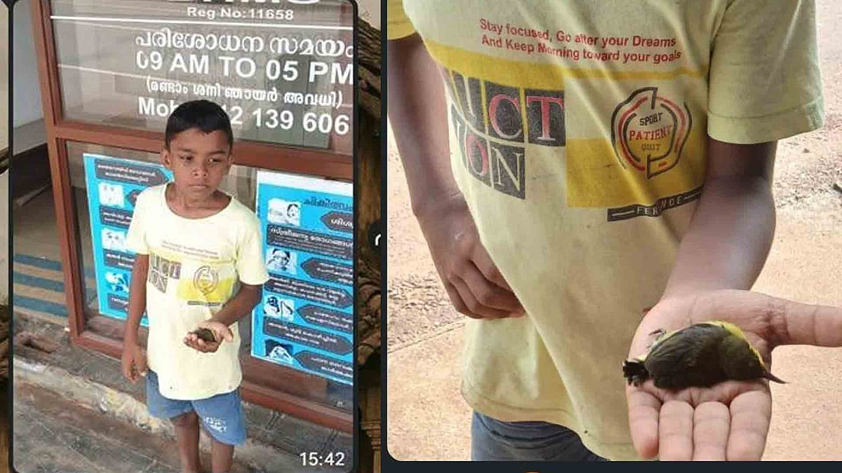 ‘เดกเตเดเตเดเดฑเต, เด เดเดฟเดณเดฟเดเตเดเตเดเตเดเดฟเดจเต เดเตเดตเดจเตโ เดตเตเดชเตเดชเดฟเดเตเดเดพเดตเต…’