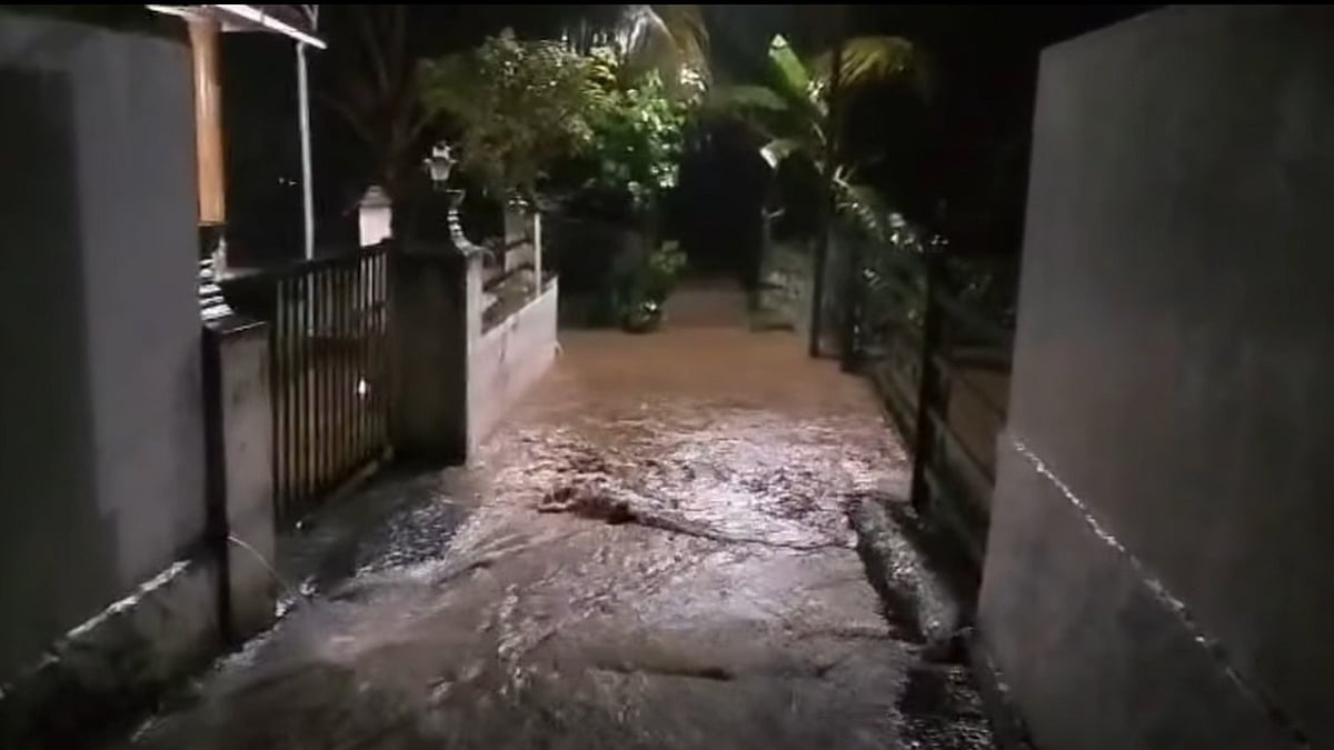 കണ്ണു തുറന്നപ്പോള്‍ കട്ടിലിനൊപ്പം ഉയരത്തില്‍ വെള്ളം; ഭയന്ന് നില്‍ക്കുമ്പോള്‍ തല ഉയര്‍ത്തി മൂന്ന് പാമ്പുകൾ, ഭീതിയില്‍ ഒരു കുടുംബം