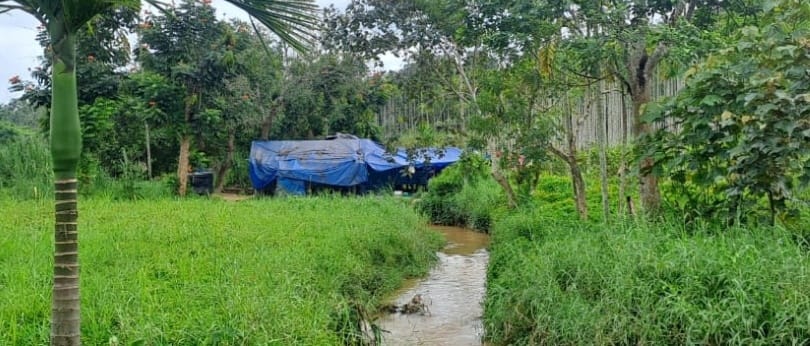 വെള്ളച്ചാൽ ഉന്നതിയിലെ ഒൻപത് ഗോത്ര കൂടുംബങ്ങൾക്ക് അടിസ്ഥാന സൗകര്യങ്ങളില്ല