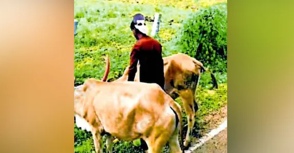 เดฎเตเดเดเดฎเตเดเดฟ เดเดพเดเตเดเดฟ เดเดเตเดตเดเดณเต เดชเตเดเดฟเดชเตเดชเดฟเดเตเดเดพเตป เดตเดจเดเดตเดเตเดชเตเดชเต; เดจเดเดชเตเดชเดพเดเตเดเตเด เดธเตเดจเตเดฆเตผเดฌเตปเดธเต เดคเตเดฐเดคเตเดคเต เดตเดฟเดเดฏเดฟเดเตเด เดชเดฐเตเดเตเดทเดฃเด