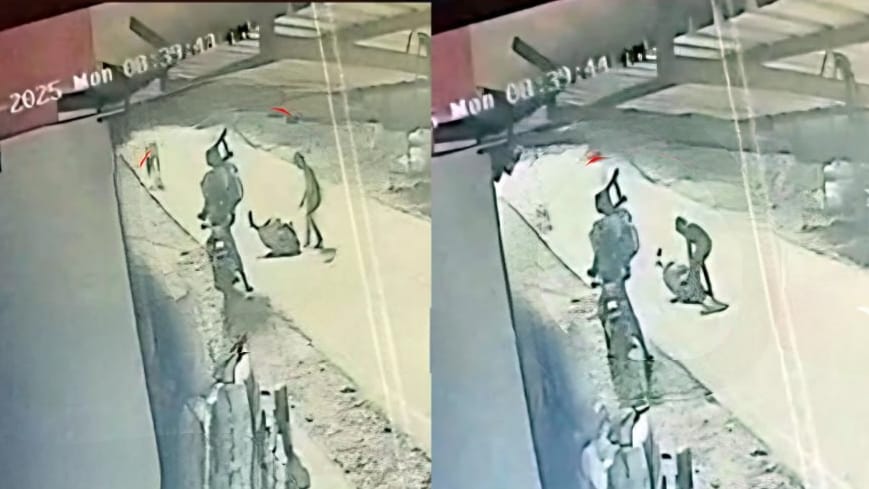 ബൈക്കിടിച്ച് വയോധികയ്ക്ക് ഗുരുതര പരിക്ക്