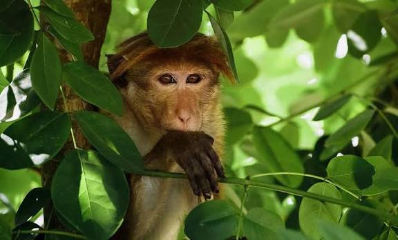 เดตเดฟเดณเดตเตเดเตเดชเตเดชเต เดเดพเดฒเดคเตเดคเต เดตเดฟเดฒเตเดฒเดจเดพเดฏเดฟ เดเตเดฐเดเตเดเตเดเตพ; เดจเตเตฝเดชเตเดชเตเดดเดฏเดฟเตฝ เดเตผเดทเดเตผ เดฆเตเดฐเดฟเดคเดคเตเดคเดฟเตฝ