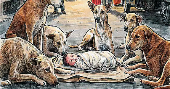 ചോരക്കുഞ്ഞ് കൊടുംതണുപ്പിൽ ഉപേക്ഷിക്കപ്പെട്ട നിലയിൽ; രാത്രി മുഴുവൻ സംരക്ഷണവലയം തീർത്ത് തെരുവുനായ്ക്കൾ