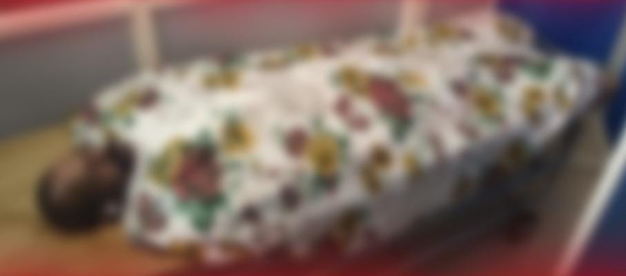 മരം മുറിച്ച് നീക്കുന്നതിനിടെ തൊഴിലാളി മരിച്ചു