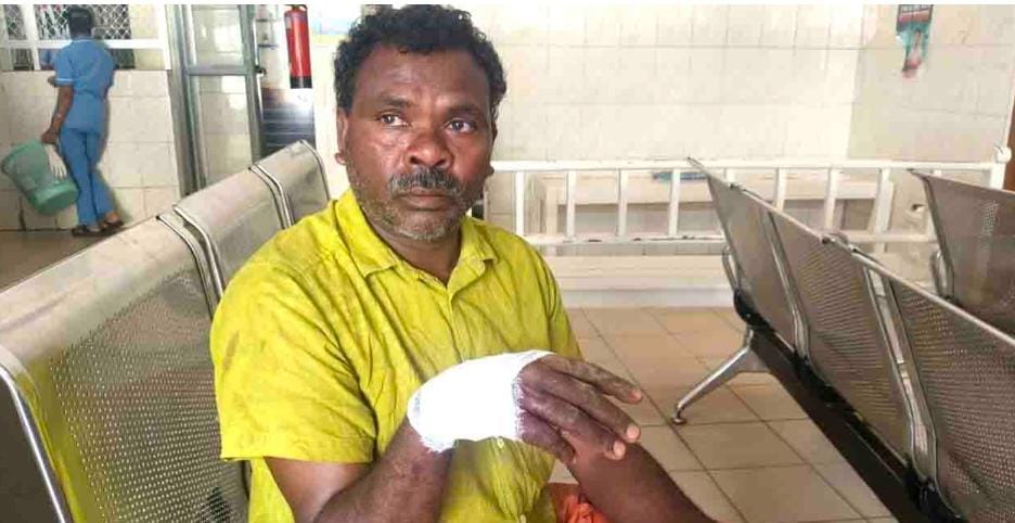 പോത്തിനെ മേയ്ക്കുന്നതിനിടെ കാട്ടുപന്നി ആക്രമിച്ചു