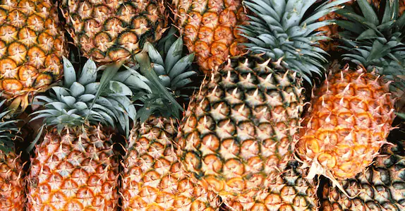 ഉത്തരേന്ത്യയിൽ വിവാഹ സീസൺ; പൈനാപ്പിളിന് ഇത് അതിമധുരകാലം; കിലോയ്ക്ക് 44 രൂപ