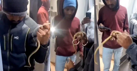 വന്ദേഭാരത് ട്രെയിനിൽ പാമ്പിനെ തുറന്നുവിട്ടു; യുവാവ് അറസ്റ്റിൽ, തെളിവായി സിസിടിവി