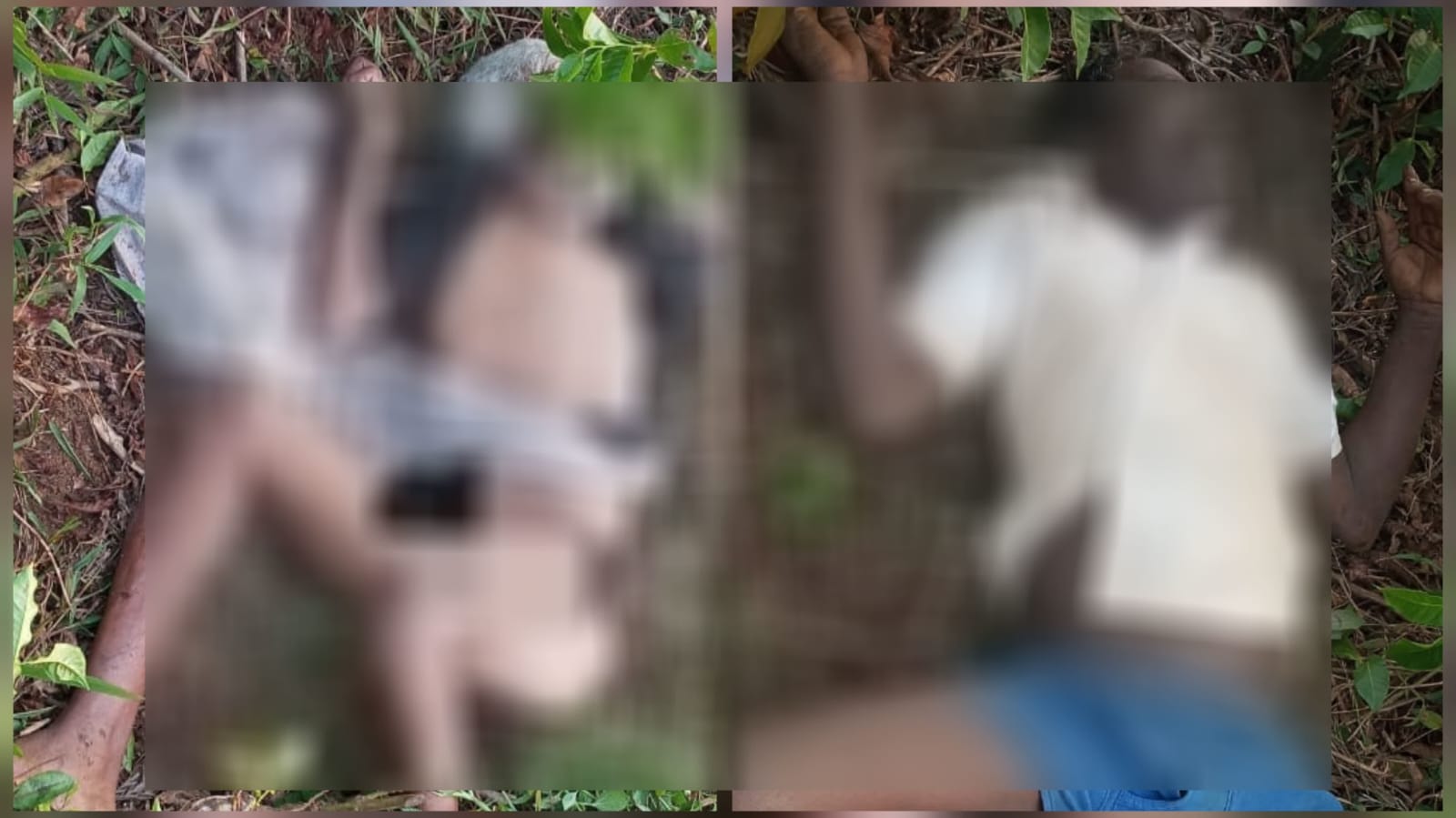 നീലഗിരി ഗൂഡല്ലൂരിൽ കാട്ടനാ ആക്രമണം; രണ്ട് പേർക്ക് ദാരുണാന്ത്യം.