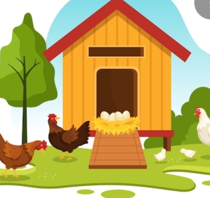 മദ്യലഹരിയിൽ കോഴിക്കൂട്ടിൽ ഉറങ്ങി നേപ്പാൾ സ്വദേശി