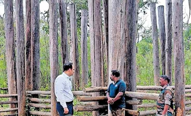 മയക്കുവെടി വെച്ചിട്ടും പിടികൂടാനായില്ല; വടക്കനാട് ഭീതിപരത്തിയ മുട്ടിക്കൊമ്പനെ പിടിക്കാനുള്ള ശ്രമം പരാജയം