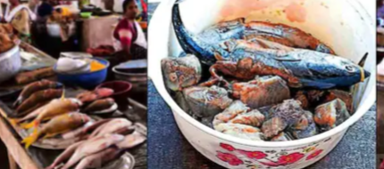 മീൻ പാകം ചെയ്യുമ്പോൾ രൂക്ഷഗന്ധം, കഴിച്ചവർക്ക് ഛർദിയും അതിസാരവും; നടപടിയെടുക്കണമെന്ന് ആവശ്യം