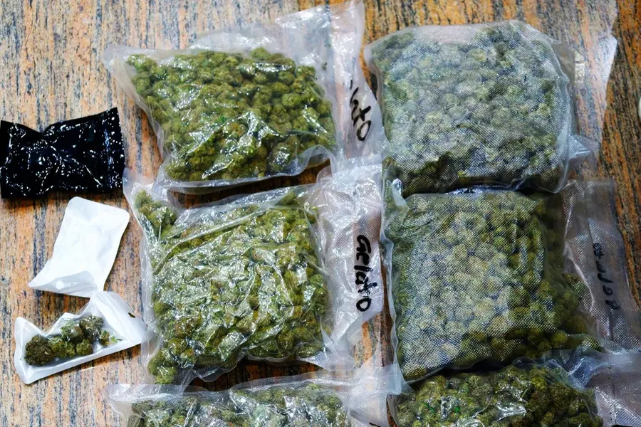 1.86 കോടിയുടെ ഹെെബ്രിഡ് കഞ്ചാവ് കടത്താൻ ഡോക്ടർമാരുടെ ശ്രമം; പരിശോധനയിൽ കുടുങ്ങി, അറസ്റ്റ്