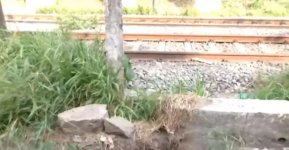 യുവതിയെ ചവിട്ടി വീഴ്ത്തി; തുണികൊണ്ട് മൂടി ക്രൂരമർദനം, മോഷണം; അക്രമിക്കായി തിരച്ചിൽ