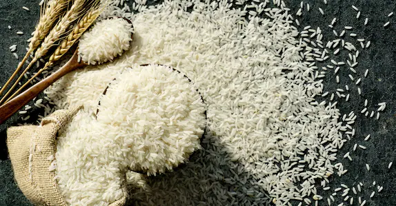 പ്രമേഹ സാധ്യത കുറവ്, പ്രോട്ടീന്‍ കൂടുതൽ: ‘സ്മാർട് അരി ’ വരുന്നു!