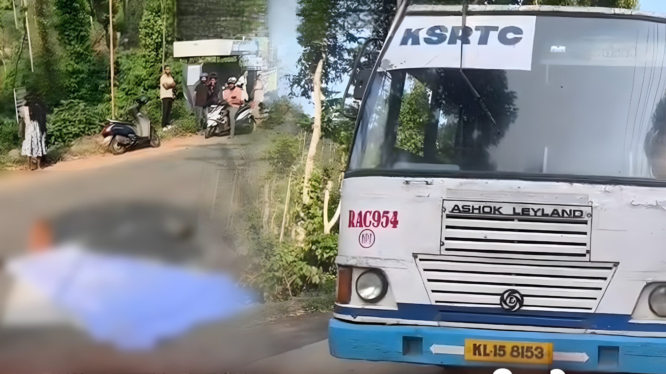 വാഹനാപകടത്തിൽ വയോധികയ്ക്ക് ദാരുണാന്ത്യം