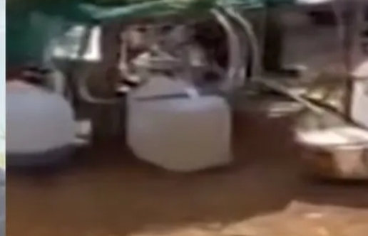 ലഹരിവിൽപ്പനയിൽ നിന്ന് കഞ്ചാവ് രാജാവായി മാറിയ അലൻ; ഘോരവനത്തിനുള്ളിലെ താവളം കണ്ട് പോലീസ് ഞെട്ടി