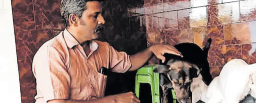 സ്വന്തമല്ലെങ്കിലും ഈ അമ്മ കുഞ്ഞാടിന്റെ സ്വന്തം; പട്ടിയുടെ പാൽ കുടിച്ചു വളരുന്ന കുഞ്ഞാട്: അപൂർവ കാഴ്ച