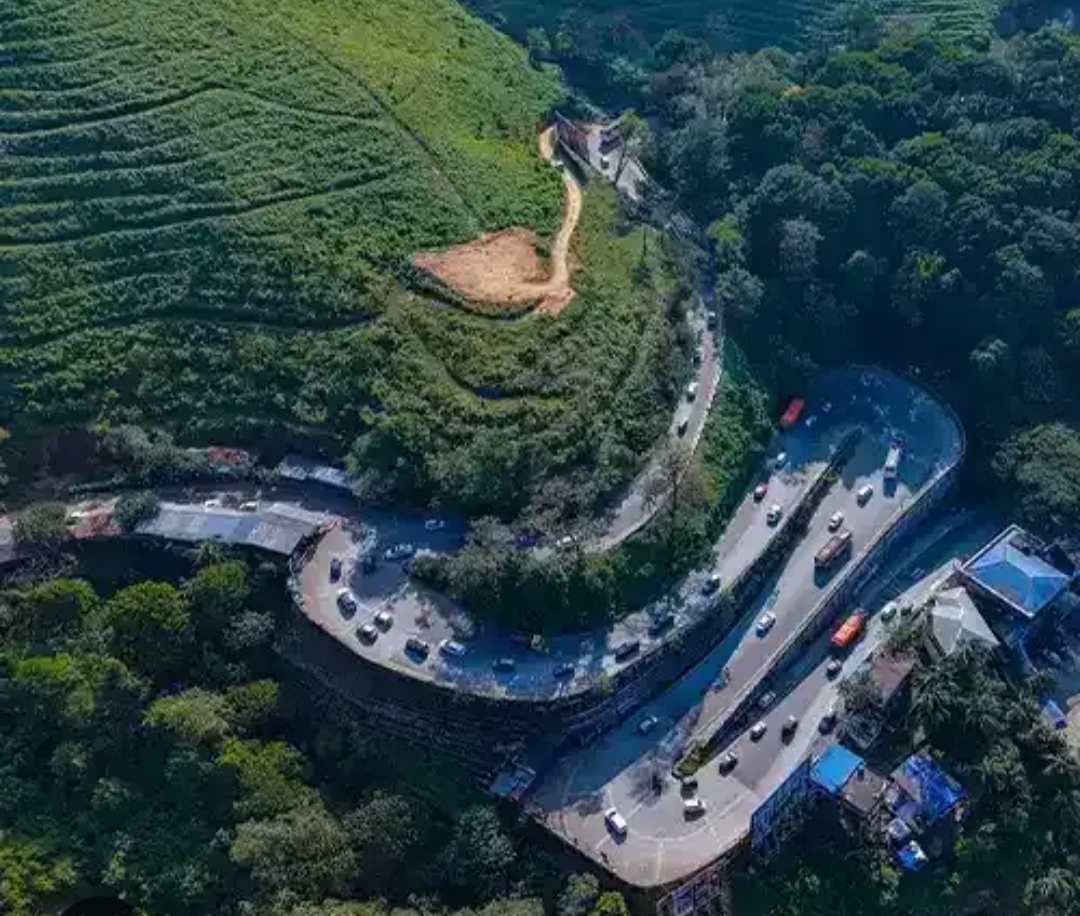 താമരശേരി ചുരത്തിലെ ഗതാഗത പ്രശ്നത്തിന് അടിയന്തര പരിഹാരം കാണണം: ആക്ഷൻ കമ്മിറ്റി